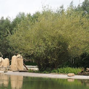 Boat Safari - Rock hyrax exhibit, 2024-08-05
