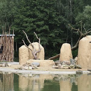 Boat Safari - Rock hyrax exhibit, 2024-08-05