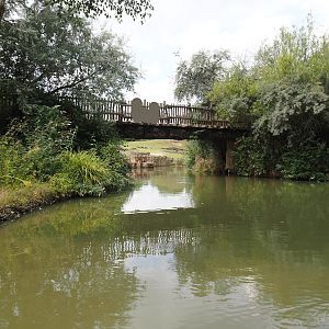 Boat Safari - Bridge, 2024-08-05