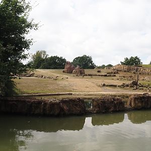 Boat Safari - Grass savanna exhibit - Southern white rhinoceros exhibit, 2024-08-05