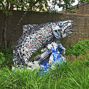 New York Aquarium - Salmon Art Piece