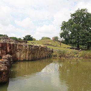 Boat Safari - Grass savanna exhibit, 2024-08-05