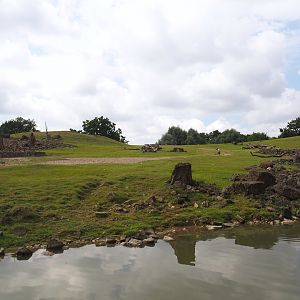 Boat Safari - Grass savanna exhibit, 2024-08-05