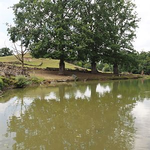 Boat Safari - Grass savanna exhibit, 2024-08-05