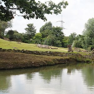 Boat Safari - Grass savanna exhibit, 2024-08-05