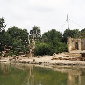 Boat Safari - Olive baboon island, 2024-08-05