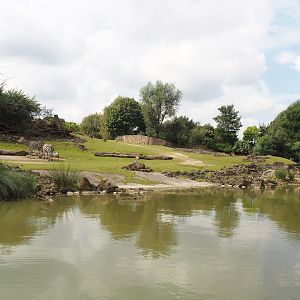Boat Safari - Grass savanna exhibit, 2024-08-05