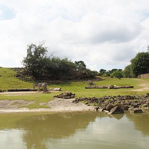 Boat Safari - Grass savanna exhibit, 2024-08-05
