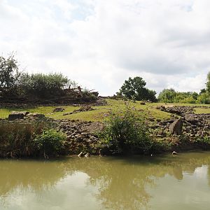 Boat Safari - Grass savanna exhibit, 2024-08-05