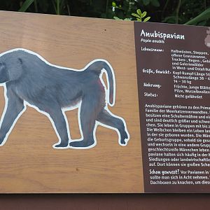 Example of signage - Olive baboon signage, 2024-08-05