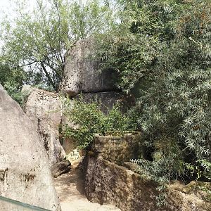 Meerkat exhibit, 2024-08-05