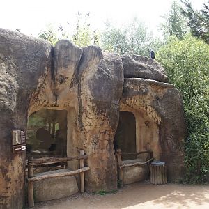 Meerkat house, 2024-08-05