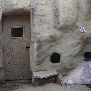 Meerkat indoor housing, 2024-08-05