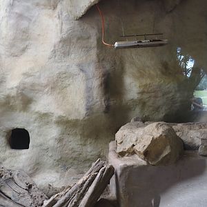 Meerkat indoor housing, 2024-08-05