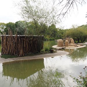 Rock hyrax island, 2024-08-05