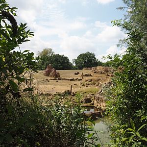 Grass savanna exhibit - Southern white rhinoceros exhibit, 2024-08-05