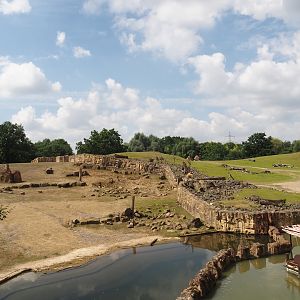 Grass savanna exhibit - Main exhibit and Southern white rhinoceros exhibit, 2024-08-05