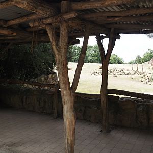 Southern white rhinoceros exhibit viewing area, 2024-08-05
