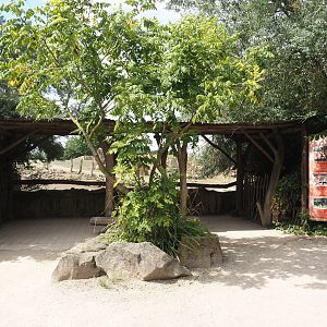 Southern white rhinoceros exhibit viewing area, 2024-08-05