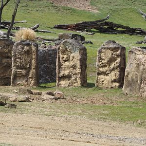 Grass savanna exhibit - Connection between main exhibit and rhinoceros exhibit, 2024-08-05
