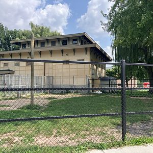 Africa - Outdoor Giraffe Exhibit