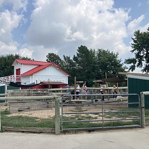 Face-To-Face Farm - Domestic Goat Exhibit