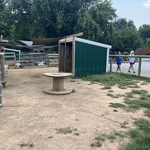 Face-to-Face Farm - Domestic Goat Exhibit