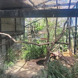 Australian birds aviary