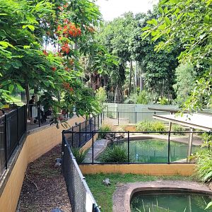 view over crocodiles enclosures - both fresh and salt water