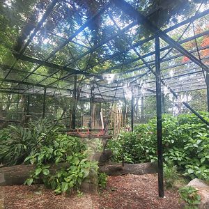 View into chimp enclosure