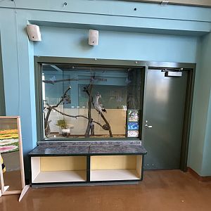 Hamill Family Play Zoo- new indoor Red-legged Seriema exhibit.