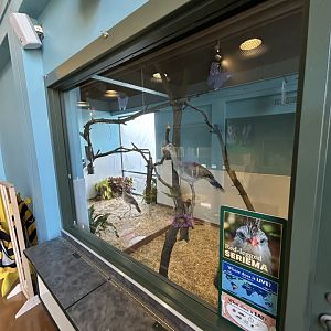 Hamill Family Play Zoo- new indoor Red-legged Seriema exhibit.