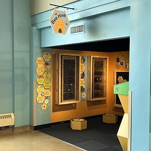 Hamill Family Play Zoo- new bee exhibit