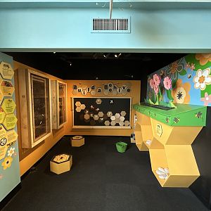 Hamill Family Play Zoo- new bee exhibit