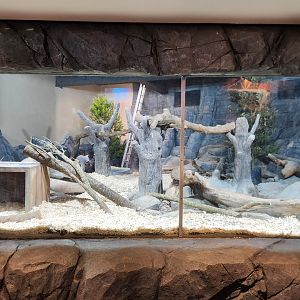 Animal Playground- Reptile exhibit