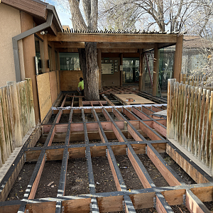 Renovations - Primate Forest