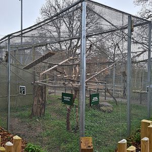 Belted Lemur Enclosure Bede's Zoo