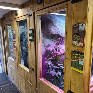 LVI Enclosures Bede's Zoo