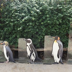 Penguin species size comparison signs, 2024-08-05