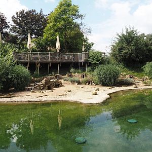 African penguin exhibit, 2024-08-05