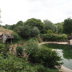 African penguin exhibit, 2024-08-05