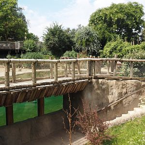 African penguin exhibit underwater and above water viewing areas, 2024-08-05