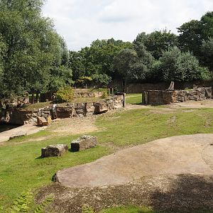 Hippopotamus and Western sitatunga exhibit, 2024-08-05