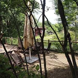 Eating area with view of chimpanzee island, 2024-08-05
