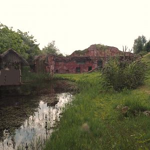 Chimpanzee island and part of viewing area, 2024-08-05