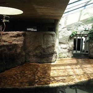 Dschungel Abenteuer - First smaller hippopotamus indoor exhibit in area with free-ranging birds, 2024-08-05