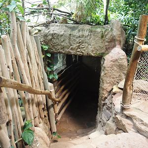 Dschungel Abenteuer - Lower viewing area for larger hippopotamus indoor exhibit, 2024-08-05