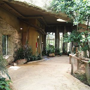 Dschungel Abenteuer - Walkway with serval and lemur viewing windows, 2024-08-05