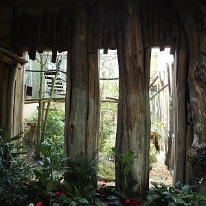 Dschungel Abenteuer - Viewing windows into crowned and ring-tailed lemur exhibit, 2024-08-05
