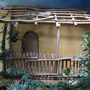 Dschungel Abenteuer - Door to off-show area, 2024-08-05